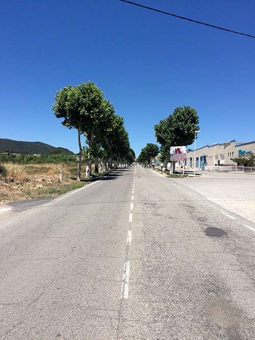 Carretera arbrada