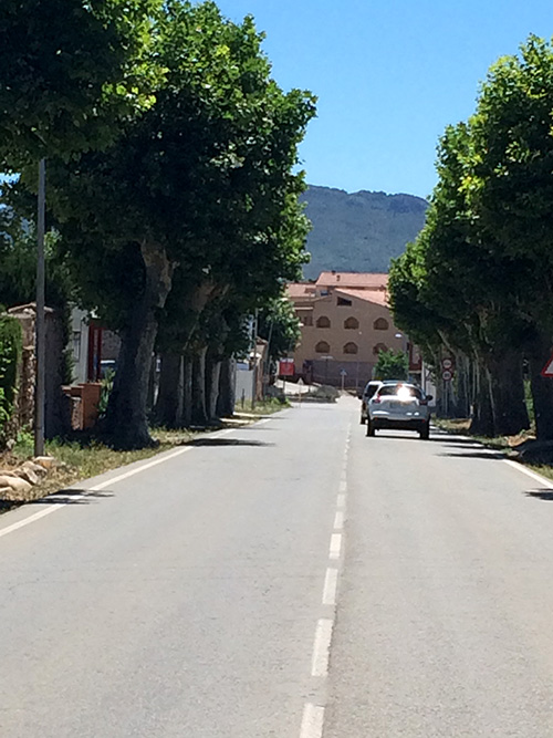 Carretera arbrada