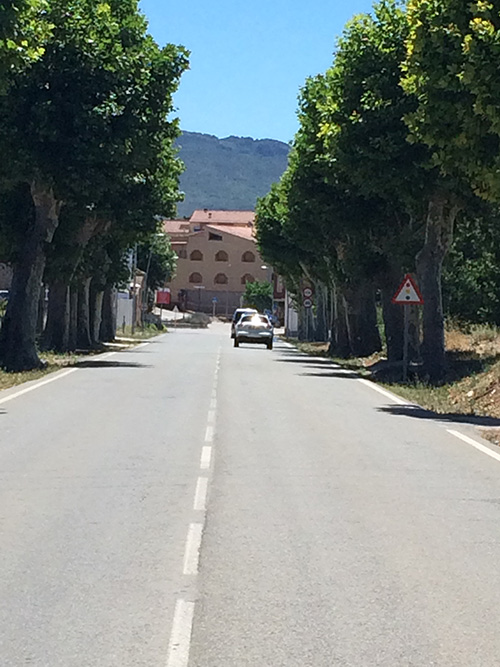 Carretera arbrada