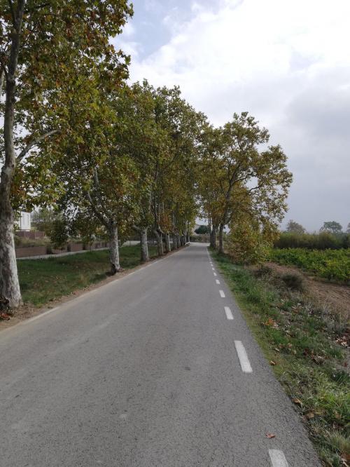 Carretera abrada