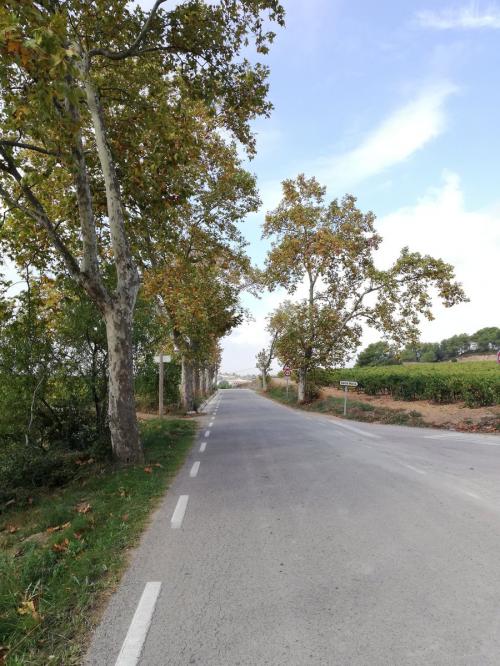 Carretera abrada